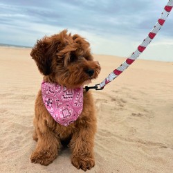 Honden Bandana Halsband Roze