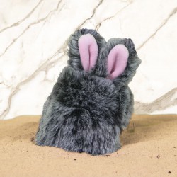 Airpods Case Bunny